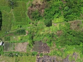 Tanah 26000 m2 di Jalur Ramai Dekat Bali Safari