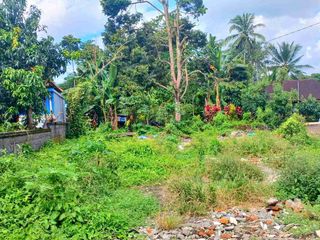 Zona Perdagangan dan Jasa Jl Denpasar-Singaraja Mengwi Badung Bali