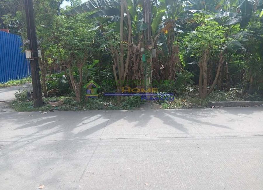 Dela Rosa Subdivision, Santa Ana, Taytay, Rizal image 2
