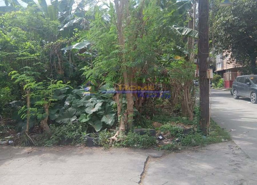 Dela Rosa Subdivision, Santa Ana, Taytay, Rizal image 3
