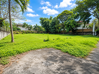 Price Drop! Lot for Sale in Ayala Alabang Village (AAV), Muntinlupa