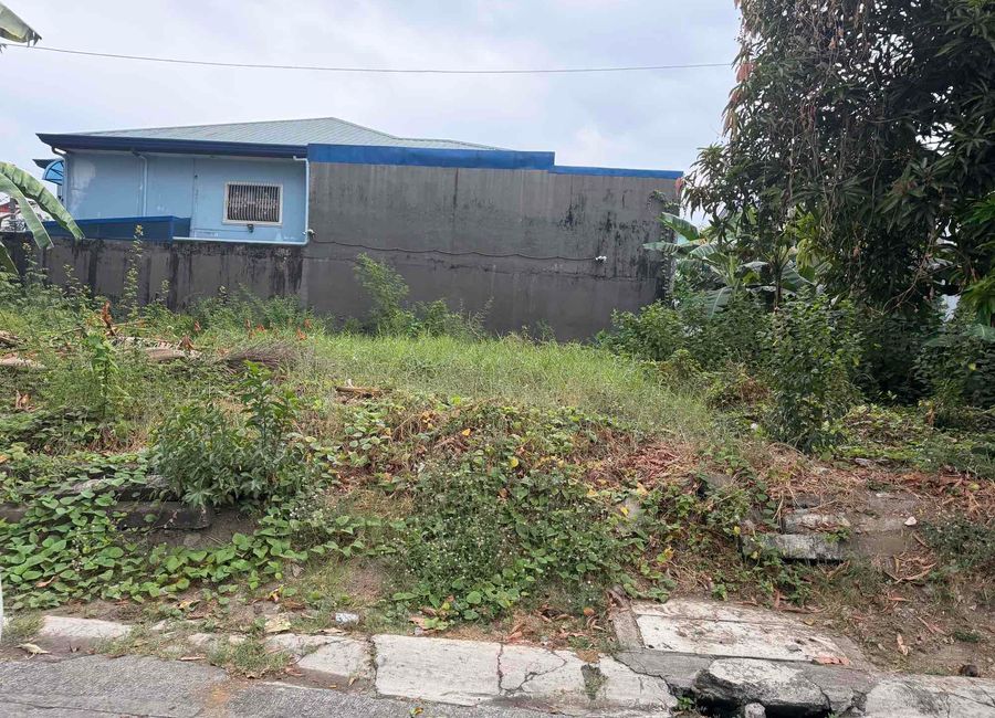 Yellow Bell Street, Cainta Greenpark Village, San Isidro, Cainta, Rizal