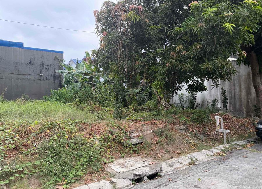 Yellow Bell Street, Cainta Greenpark Village, San Isidro, Cainta, Rizal image 3