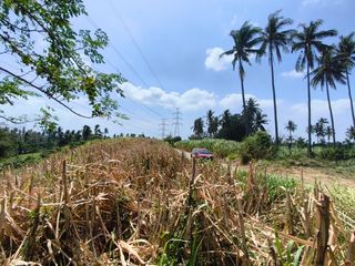 For Sale 50,000sqm Agricultural Lot in Timbain Calaca Batangas - LSS