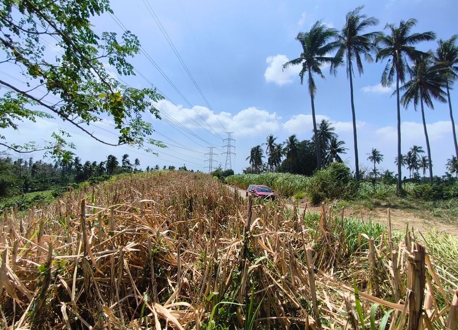 Balayan-Lemery Road, Greenfields, Camastilisan, Calaca, Batangas