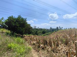 200,000sqm Agricultural Lot in Timbain Calaca Batangas For Sale - LSS