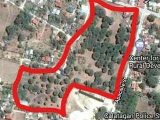 287.5M  Mango Farm Located in Calatagan, Batangas For Sale - LSS