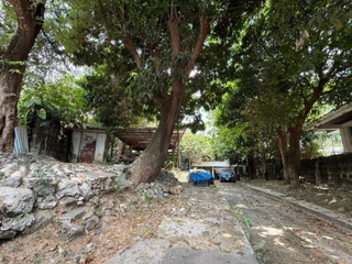 Vacant Lot For Sale in Xavierville 2 Loyola Heights Quezon City