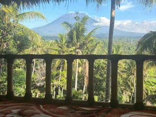 jual tanah bunganya karangasem 43 are