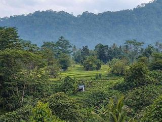 jual tanah sidemen Karangasem