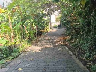 tanah Sekar Sari Denpasar timur bali