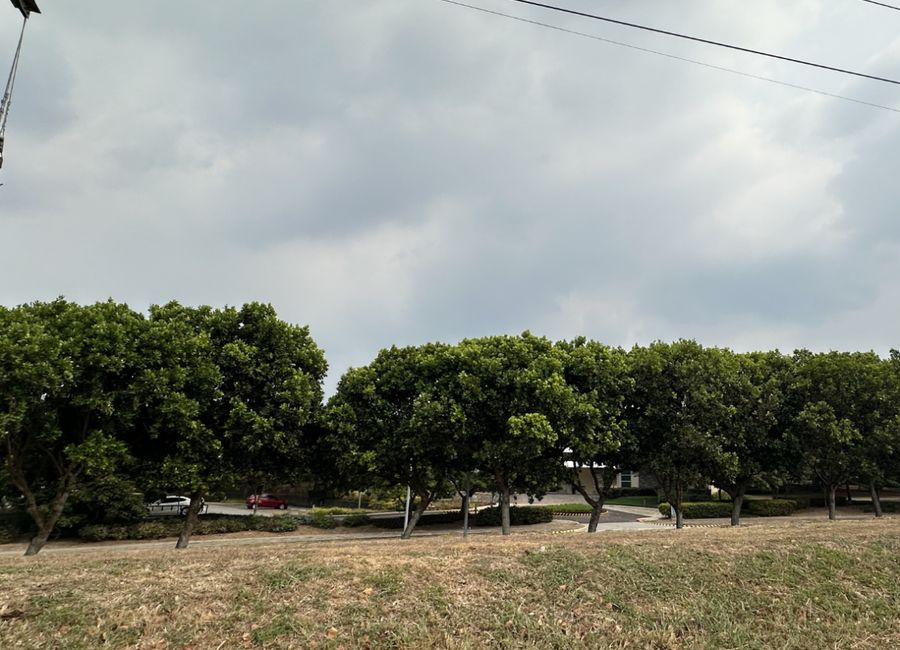 Marathon Drive, Venare, Canlubang, Calamba, Laguna image 2