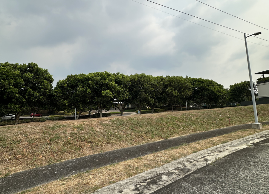 Marathon Drive, Venare, Canlubang, Calamba, Laguna image 3