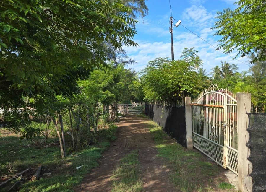 place photo 8