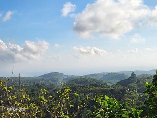 DIJUAL CEPAT — TANAH PREMIUM DI DESA KLUMPU, NUSA PENIDA  Lokasi Strategis
