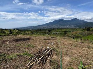 Tanah View Gunung Panderman Kota Batu – Pinggir Jalan, Lahan Datar Harga Masih Murah