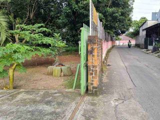 Jual Tanah berikut Pohon Rambutan dan villa dan Saung di Bekasi Timur
