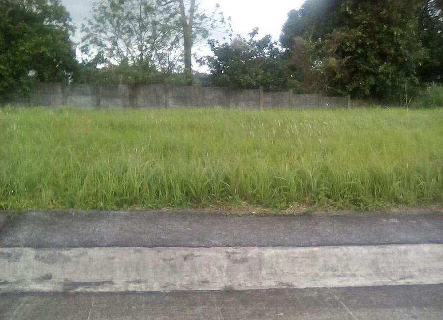 Tagaytay Tropical Greens, Patutong Malaki South, Tagaytay, Cavite image 3