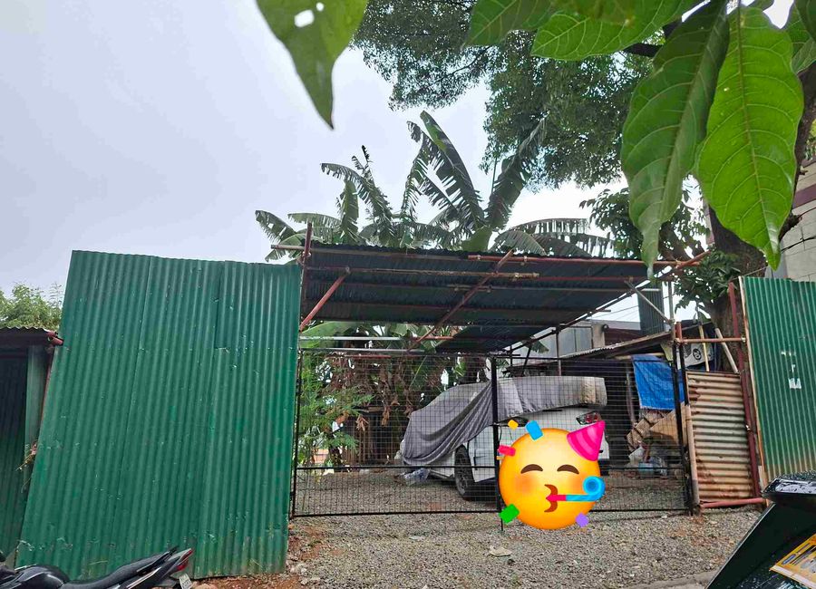 Francs Street, Lores Country Homes, San Roque, Antipolo, Rizal