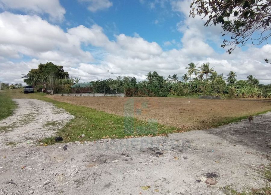 Buna Lejos II, Indang, Cavite image 3