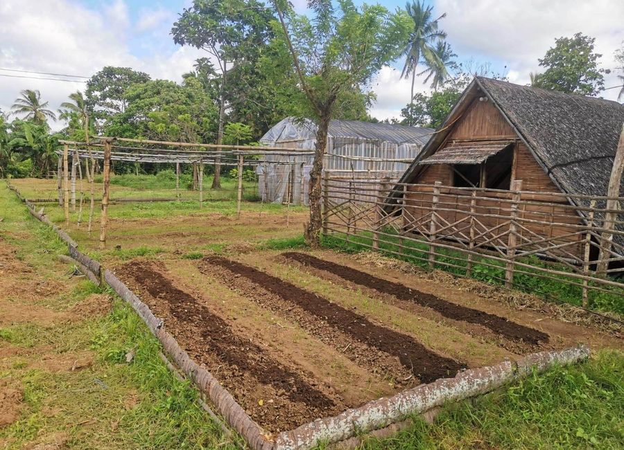Buna Lejos II, Indang, Cavite image 2