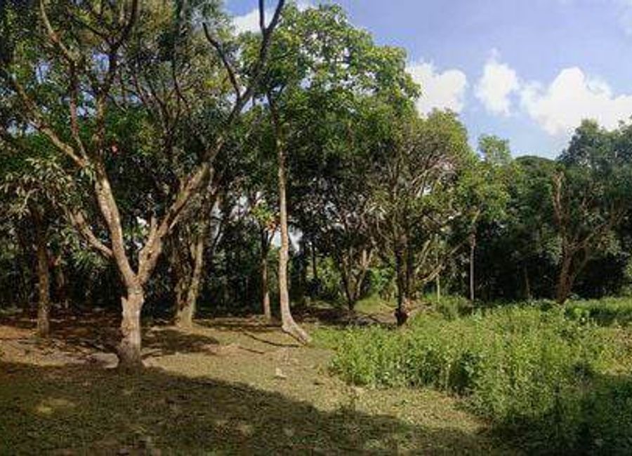 Lumampong Halayhay, Indang, Cavite