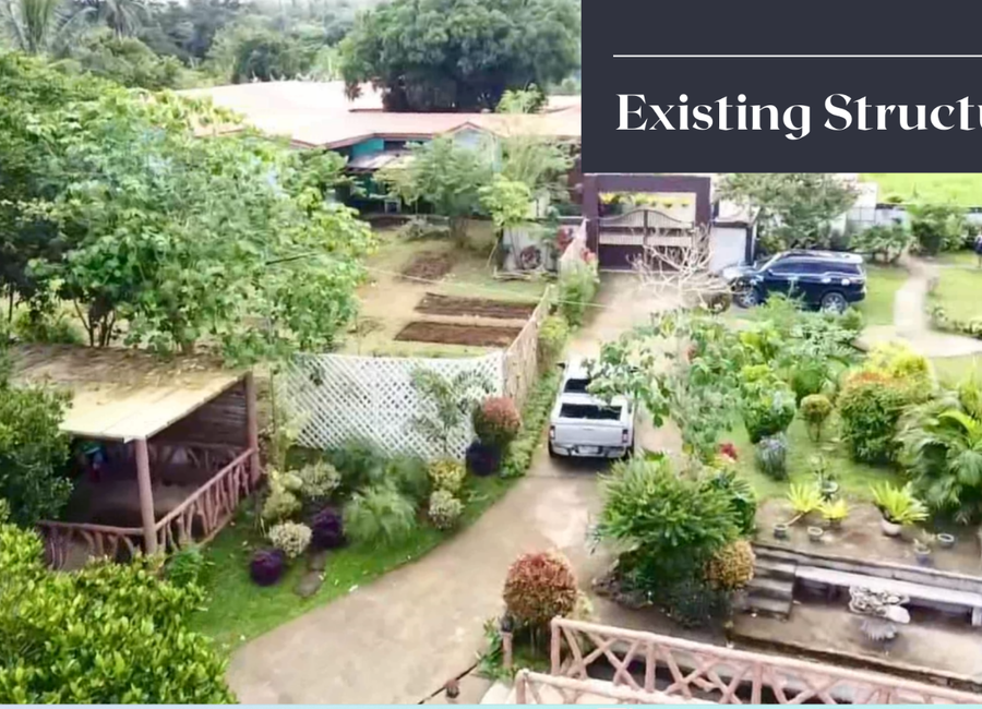 Anuling Lejos I, Mendez, Cavite image 3