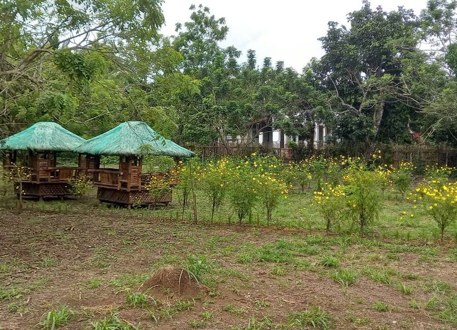 Guinhawa South, Tagaytay, Cavite