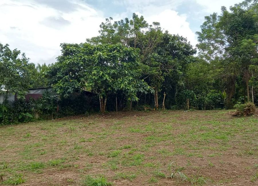 Guinhawa South, Tagaytay, Cavite image 3