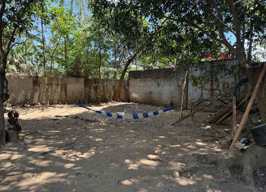 San Agustin, Trece Martires, Cavite image 2