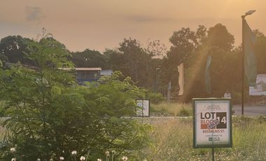 Corner Lot [B10 L1] for Sale in The Meadow Residences, San Pedro City, Laguna