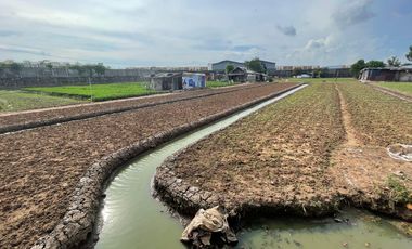 Dijual Murah Kavling di Komplek Pergudangan Benda Tangerang