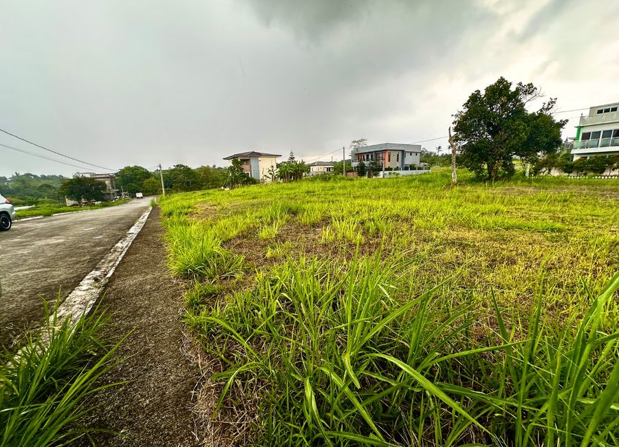 Molave, Tagaytay Tropical Greens, Patutong Malaki South, Tagaytay, Cavite image 2