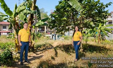 Lot for Sale along Main Road in Talamban Cebu