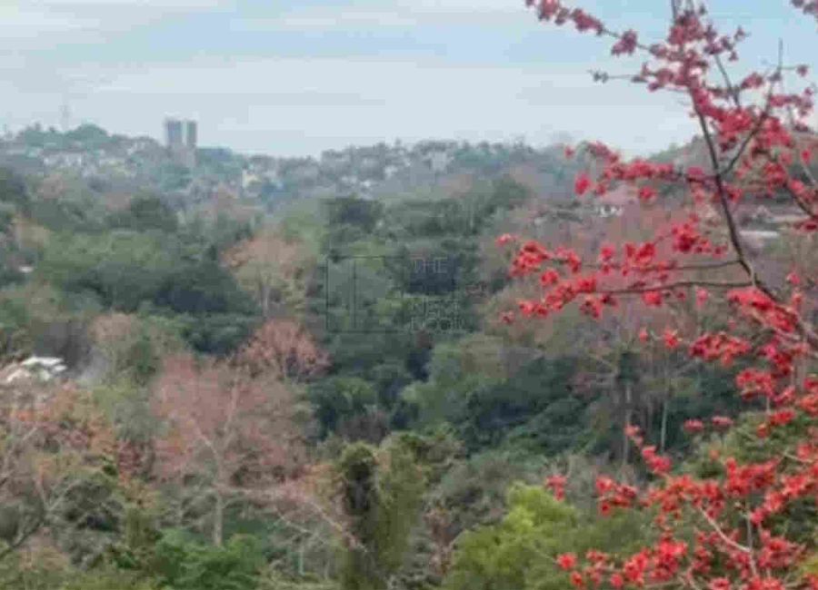 Parkridge Drive, Park Ridge, Santa Cruz, Antipolo, Rizal