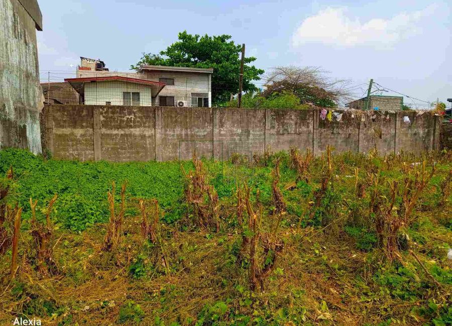 Barangay 53-A, Zone 7, San Antonio, Cavite City, Cavite image 3