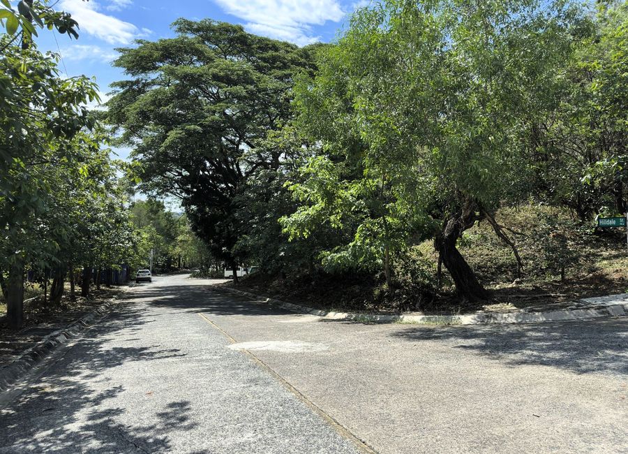 Parkridge Drive, Park Ridge, Santa Cruz, Antipolo, Rizal image 3