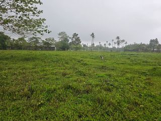 40,590 SQM CLEAN TITLE FARM LOT FOR SALE – Tubog, Ubay, Bohol