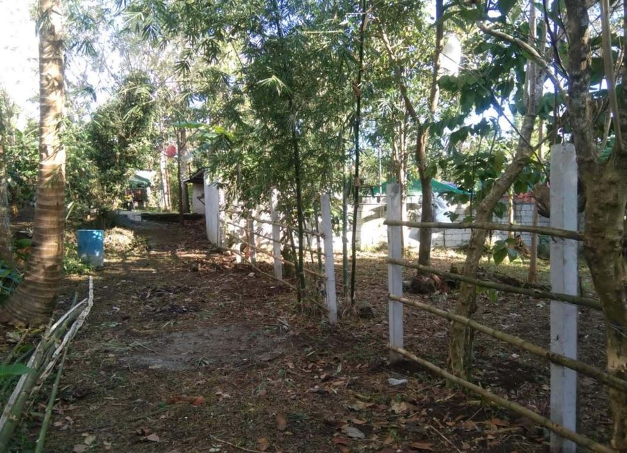 Bilog-Sinaliw Road, Palumlum, Alfonso, Cavite