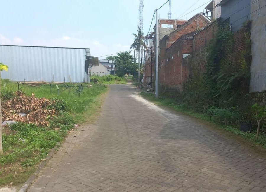place photo 5