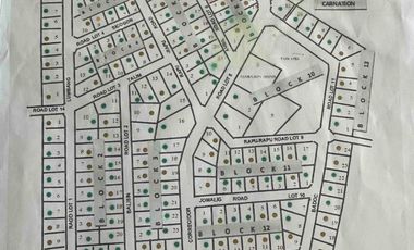 FOR SALE: 2 Adjacent Residential Lots in Tierra Nueva Village, Alabang - Php 46Mn (Php 23Mn each lot)