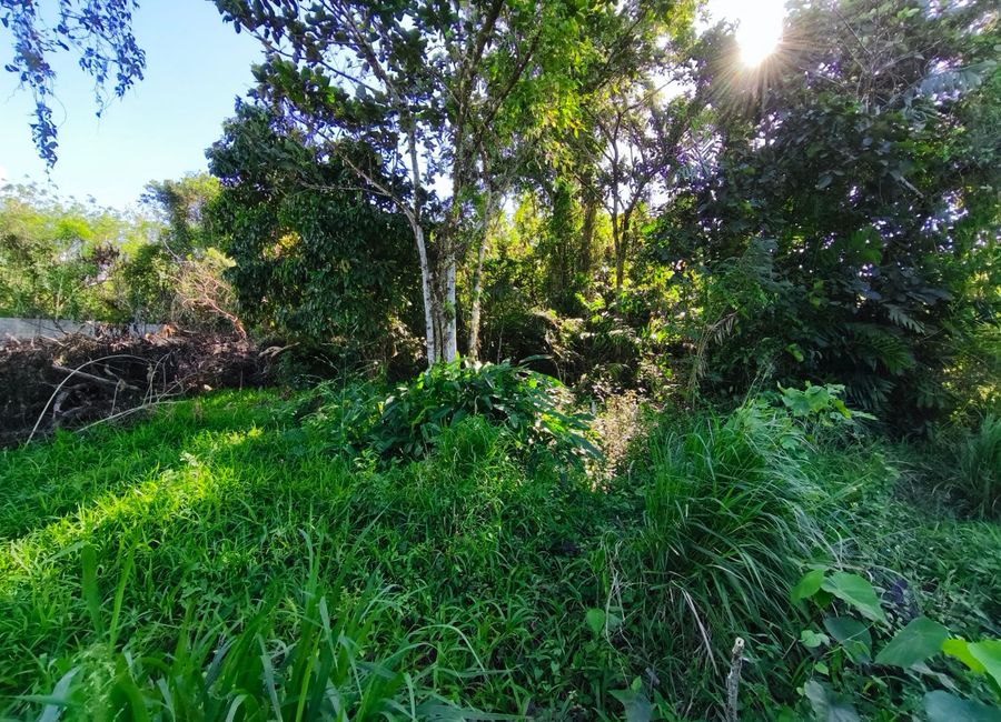 Pook Road, Hacienda 888, Lumil, Pooc II, Silang, Cavite