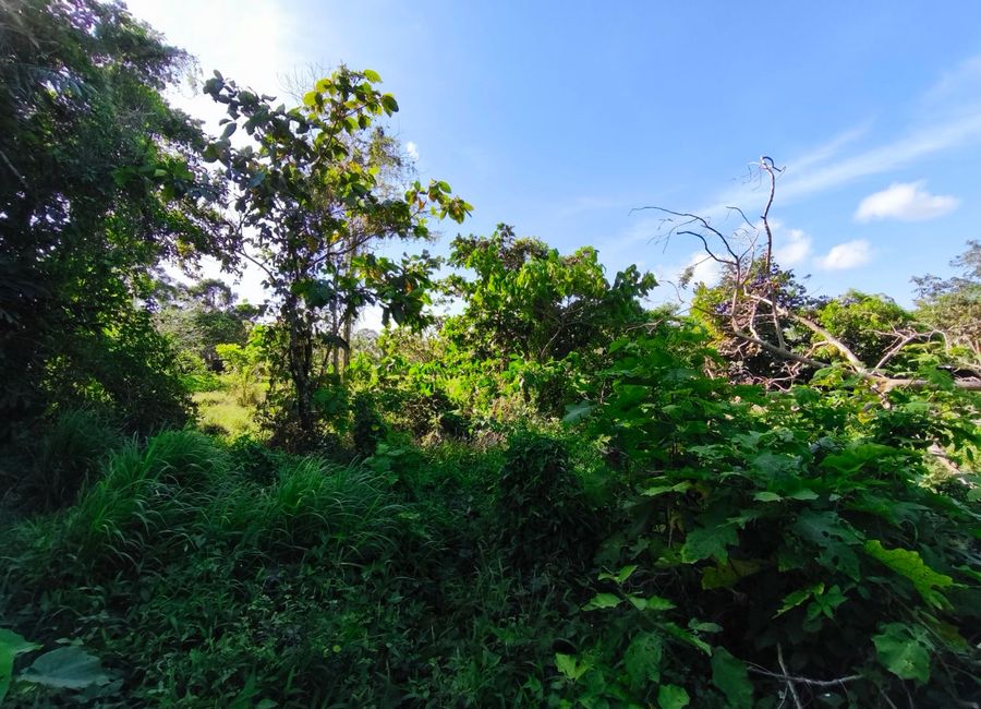 Pook Road, Hacienda 888, Lumil, Pooc II, Silang, Cavite image 2