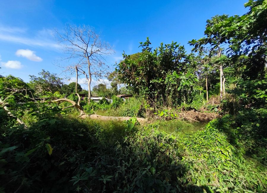 Pook Road, Hacienda 888, Lumil, Pooc II, Silang, Cavite image 3