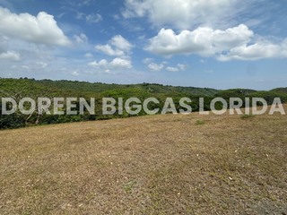 LOT FOR SALE: 540sqm Ridgeview Residential Lot in Silang, Cavite - Lanewood Hills