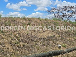 LOT FOR SALE: 660sqm Ridgeside Residential Lot in Silang, Cavite - Lanewood Hills at Southmont