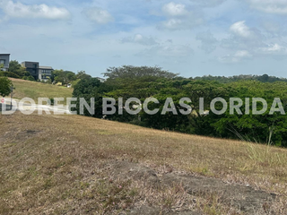 LOT FOR SALE: 875sqm Prime Residential Lot in Silang, Cavite - Lanewood Hills at Southmont
