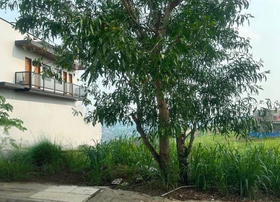 Sun Valley Avenue, San Juan, Antipolo, Rizal image 2
