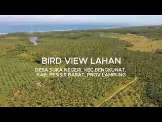 DIJUAL CEPAT MURAH TANAH BENGKUNAT, LAMPUNG