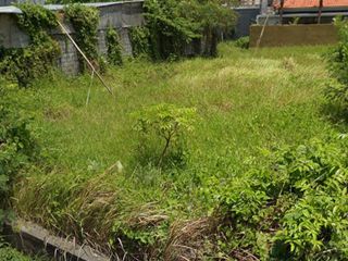 Dijual Tanah Green Keramas Residence Gianyar Siap Bangun Lokasi Strategis
